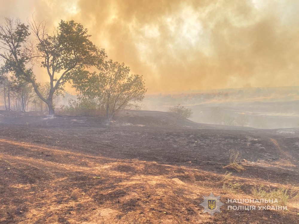 6047 image for slide