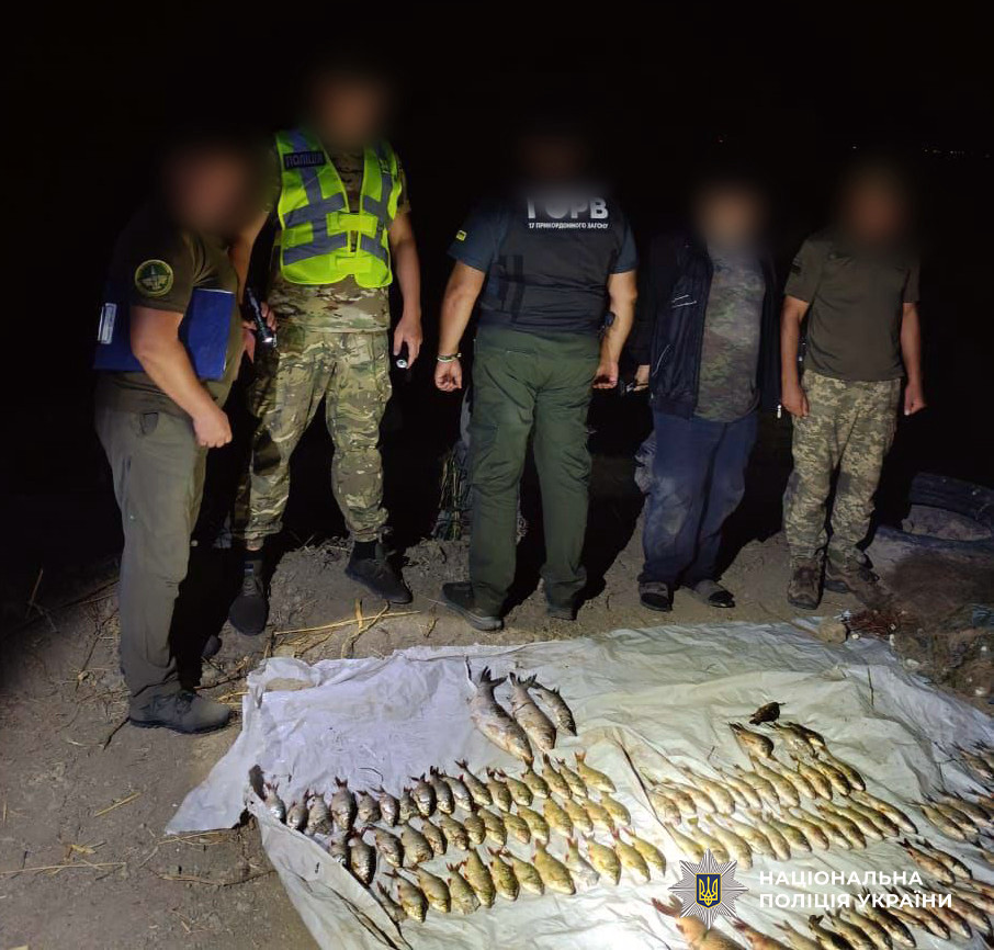 6055 image for slide