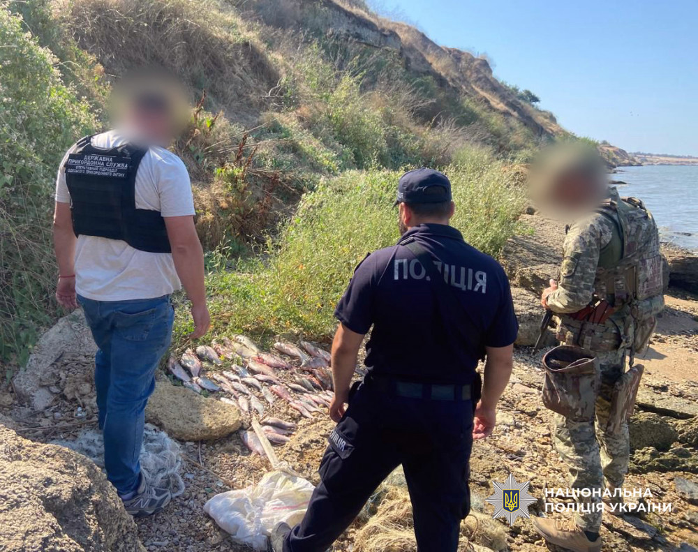 6056 image for slide