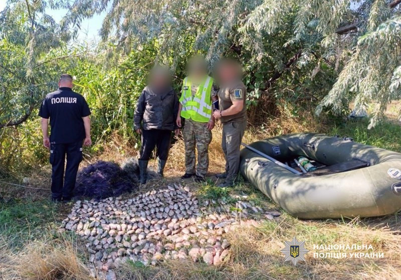 6058 image for slide