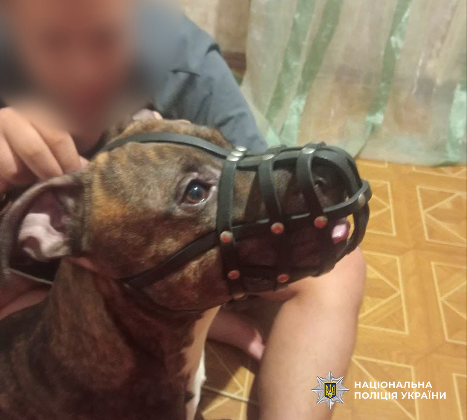 6145 image for slide