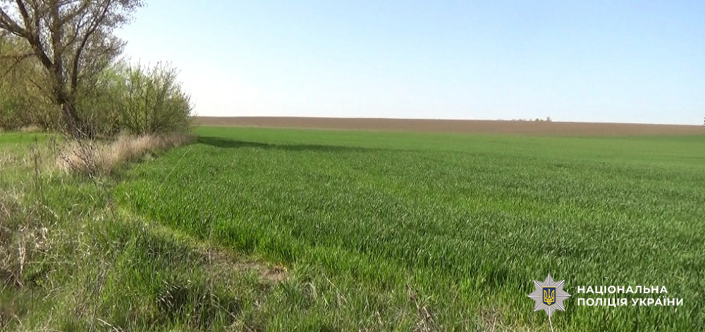 6150 image for slide