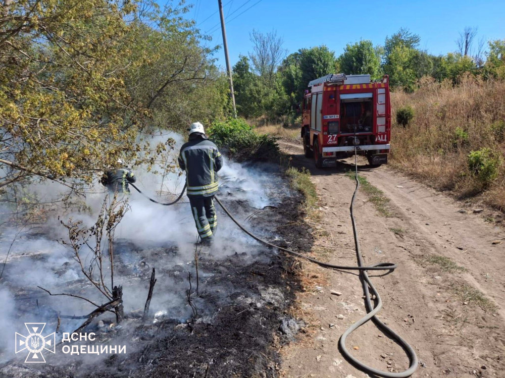 6249 image for slide