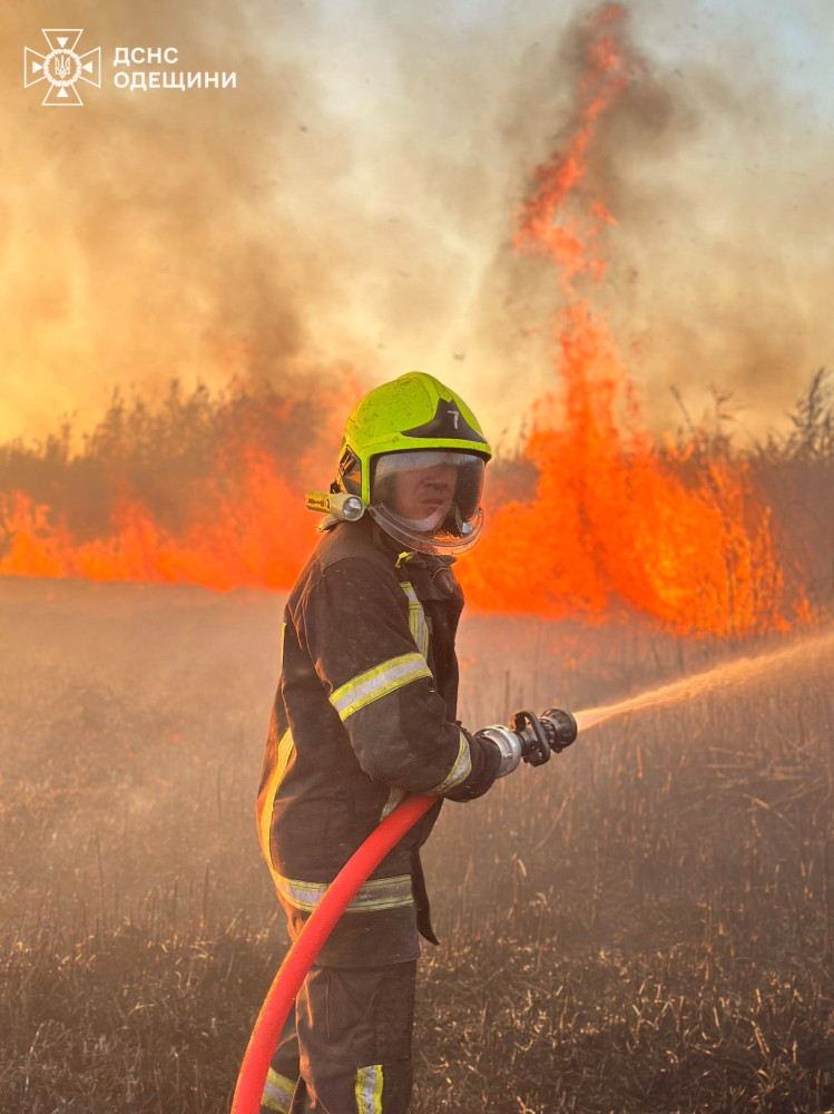 6251 image for slide