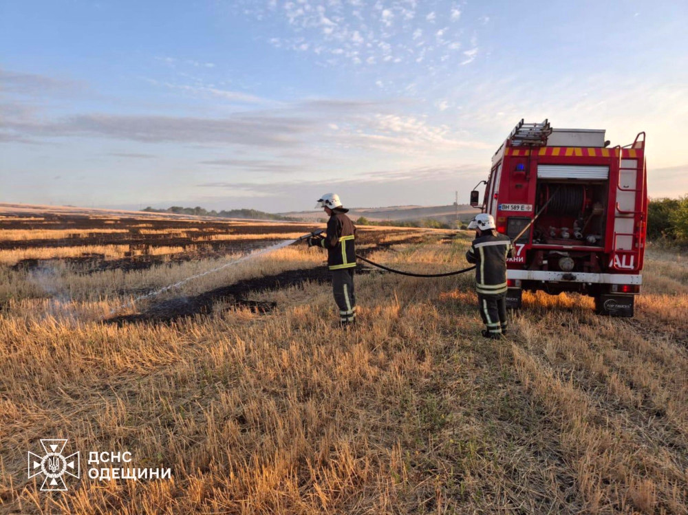 6252 image for slide