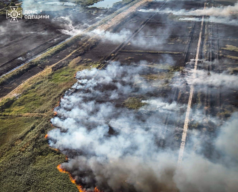 6253 image for slide