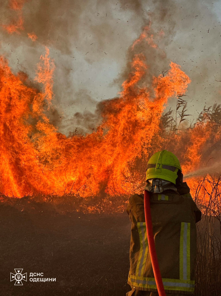 6254 image for slide