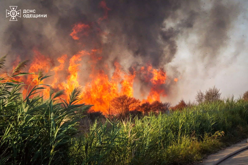 6256 image for slide