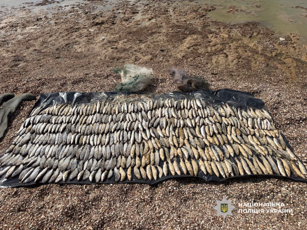 6484 image for slide