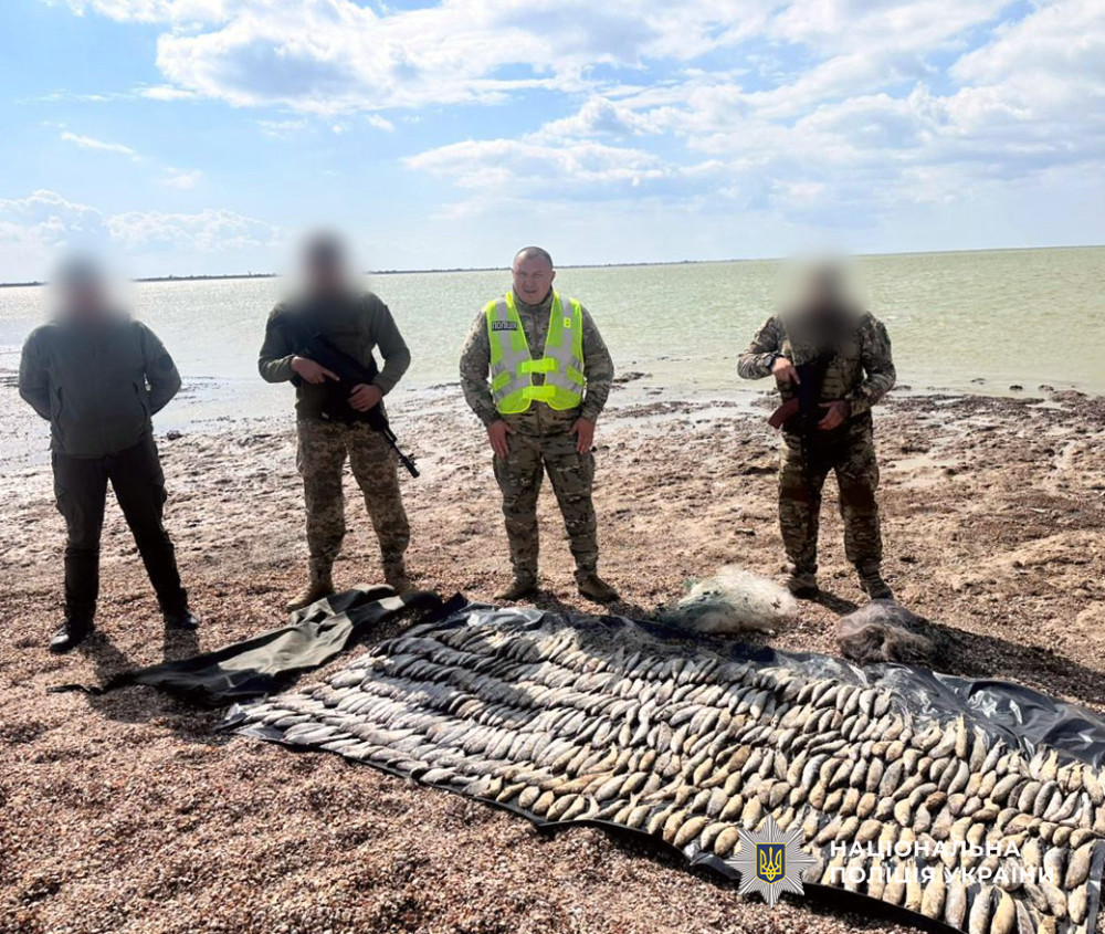 6485 image for slide