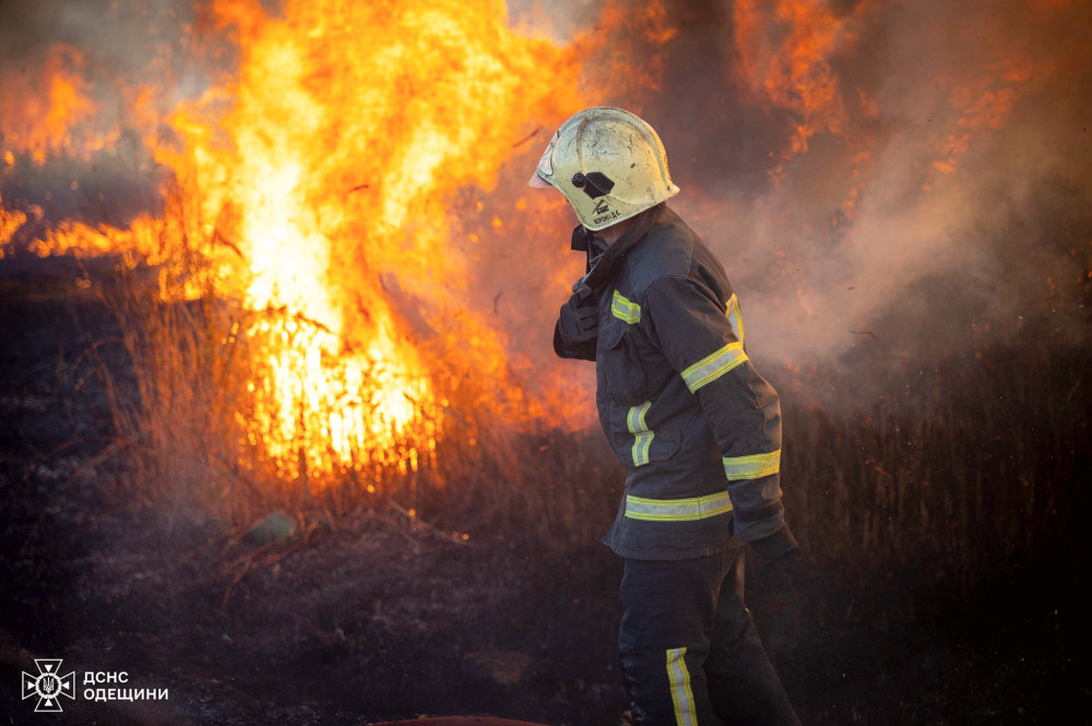 6573 image for slide