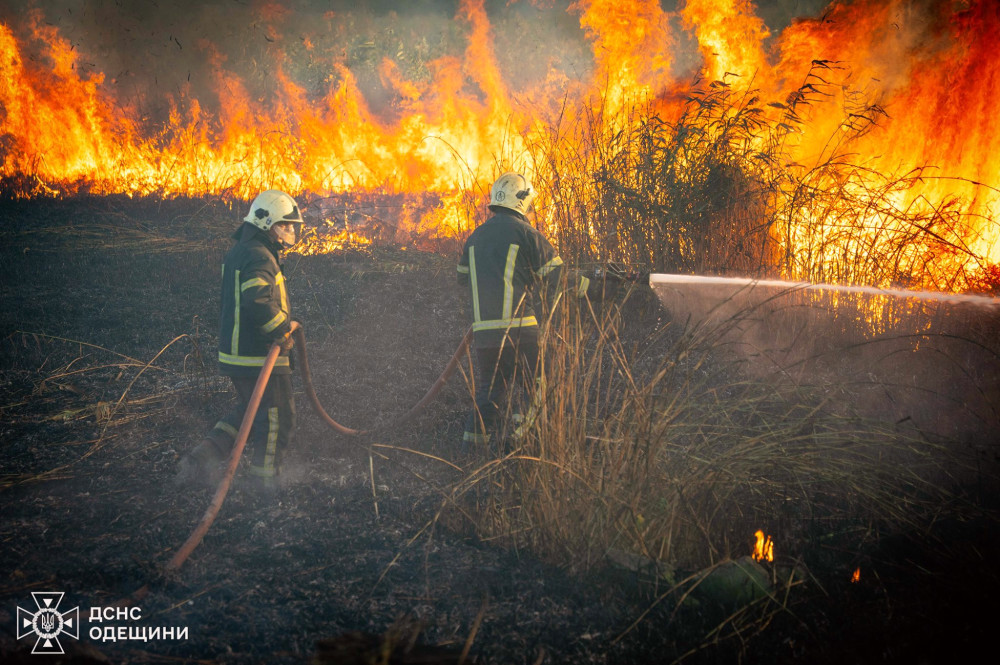 6574 image for slide