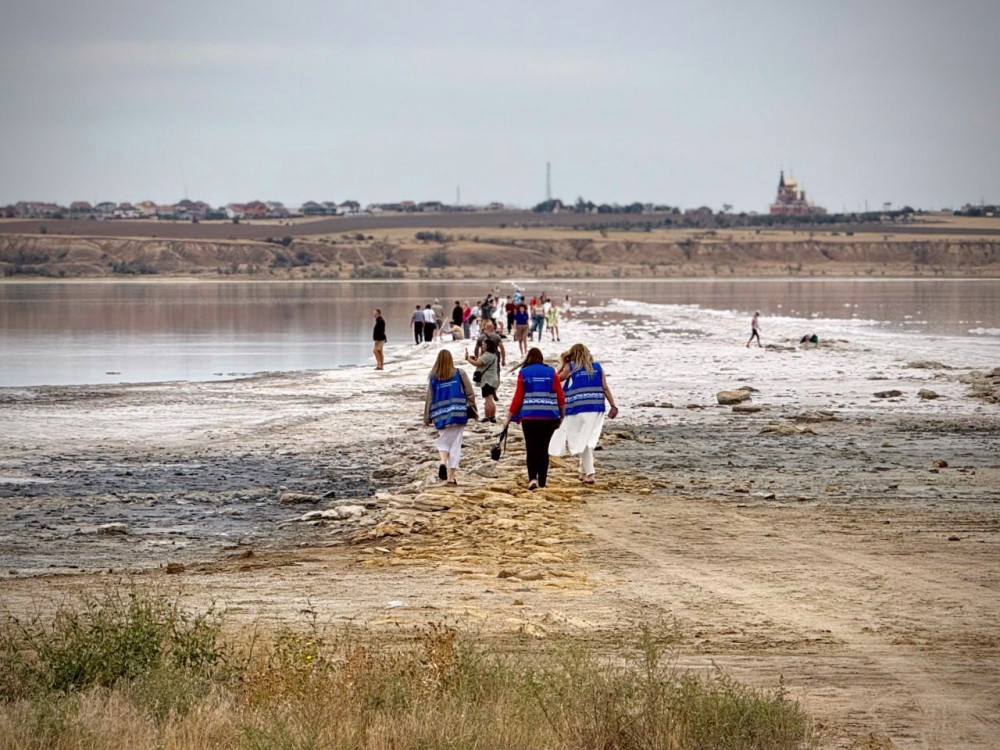 6628 image for slide