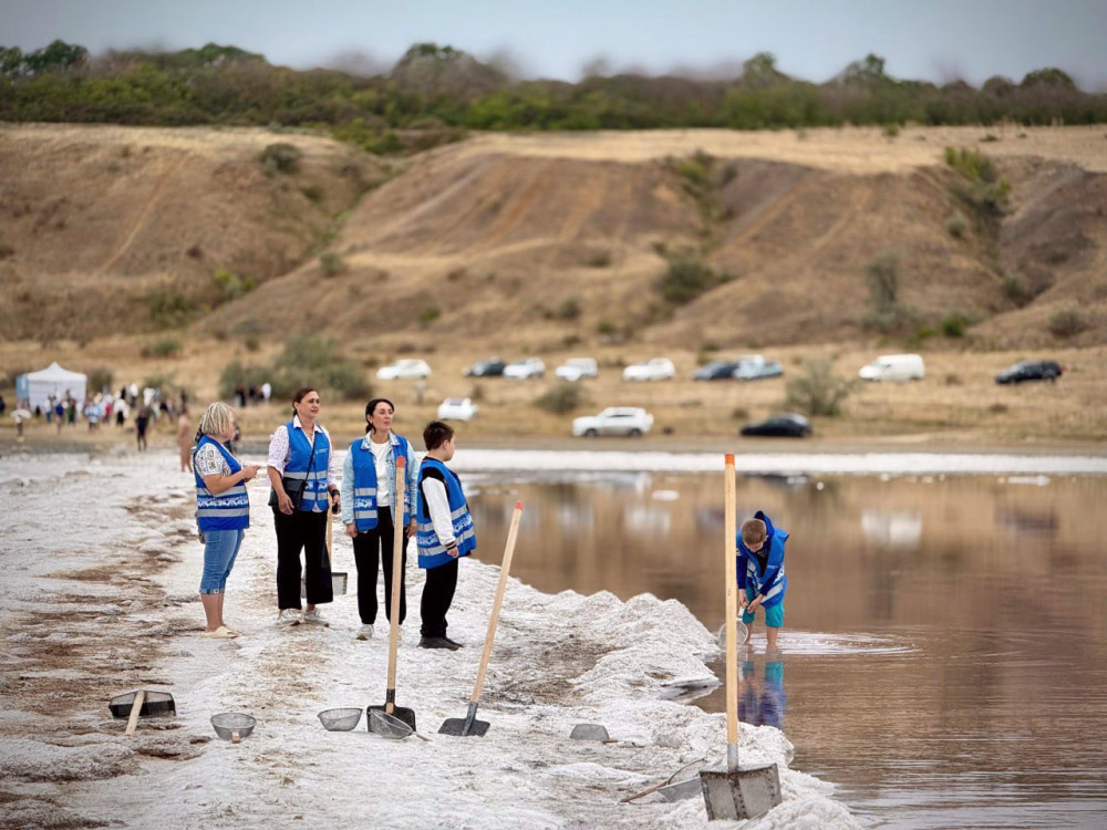 6633 image for slide