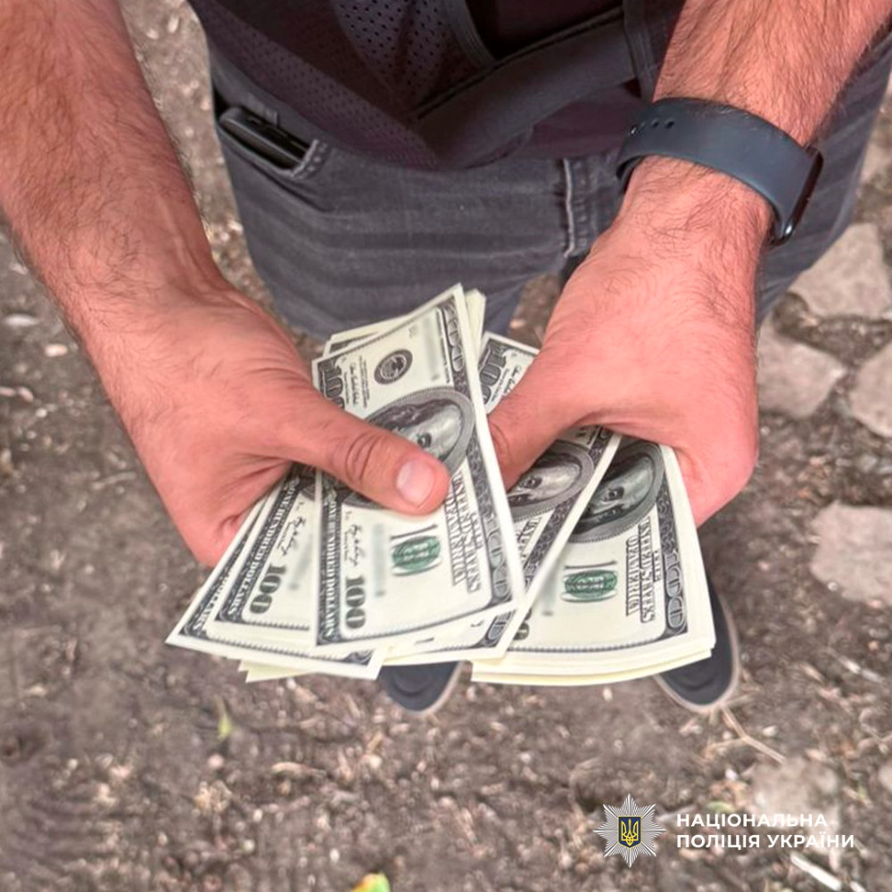 6725 image for slide