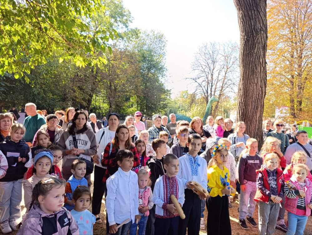 7049 image for slide