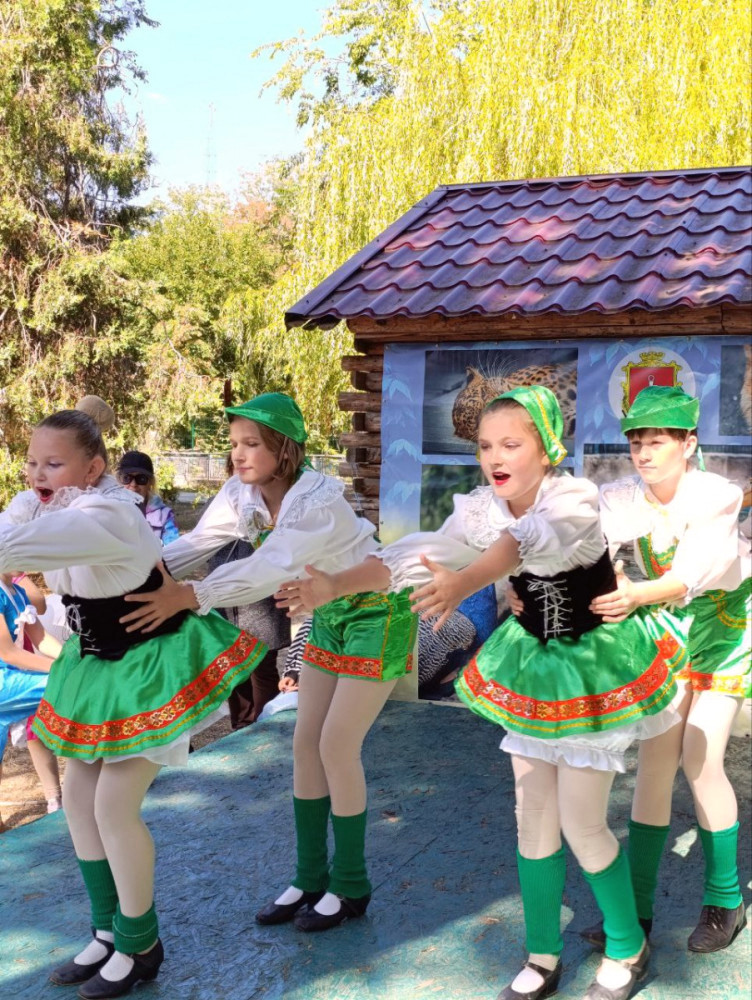 7050 image for slide