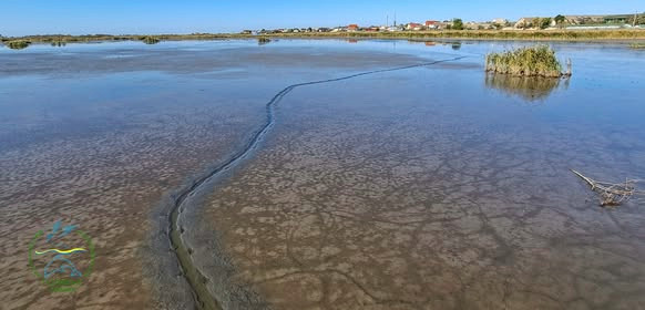 7078 image for slide