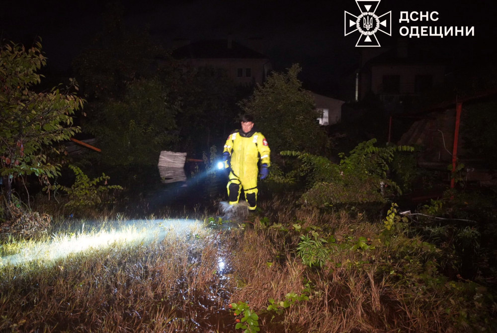 7103 image for slide