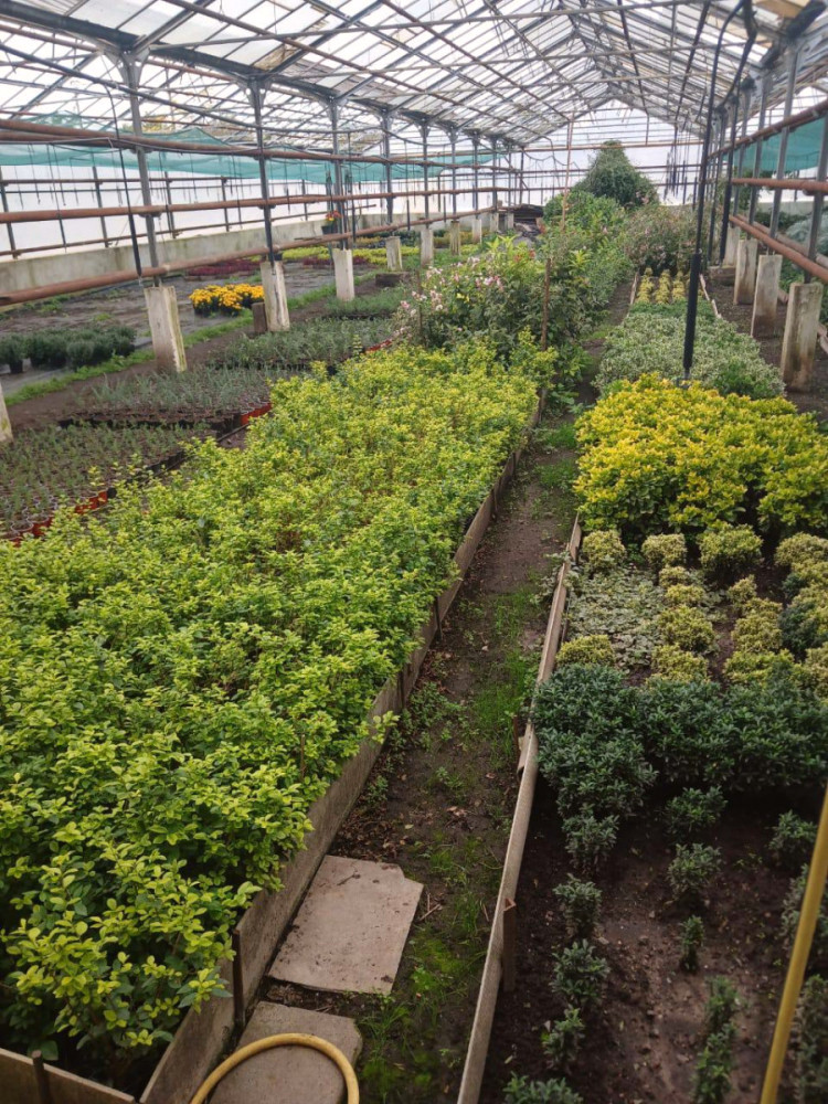 7438 image for slide