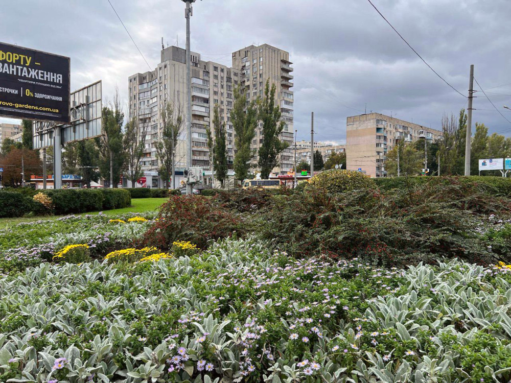 7708 image for slide