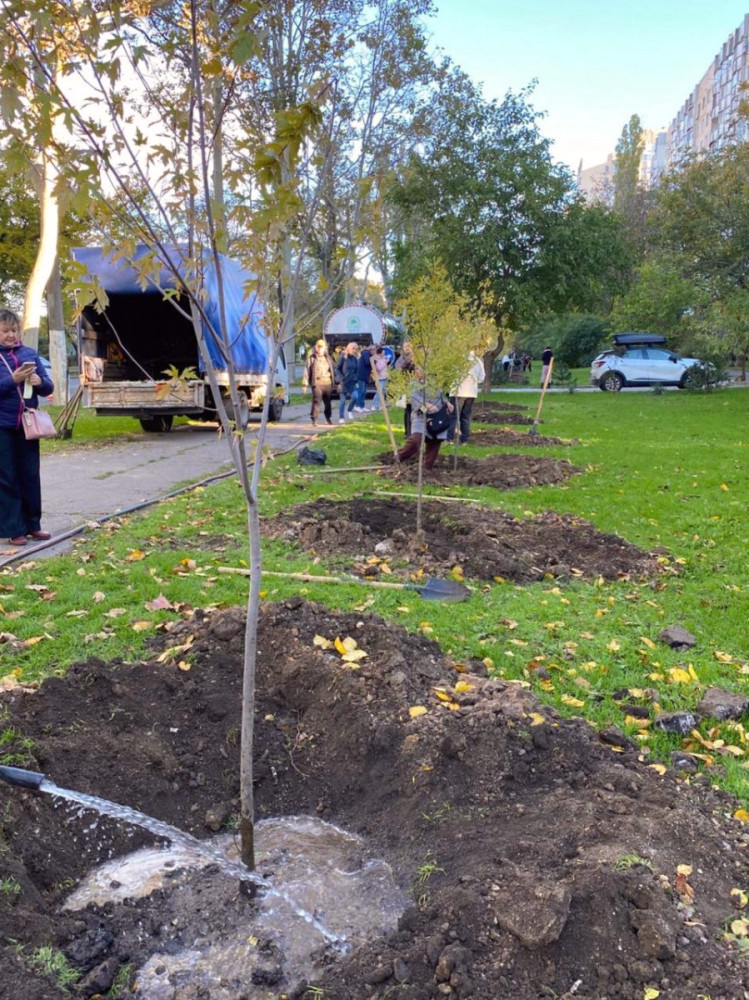 7733 image for slide