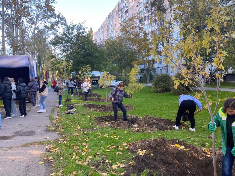 7734 image for slide