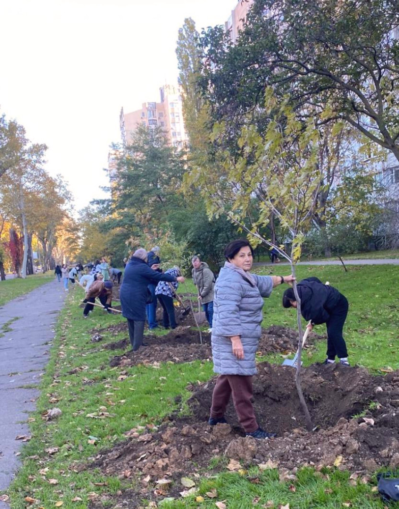 7736 image for slide