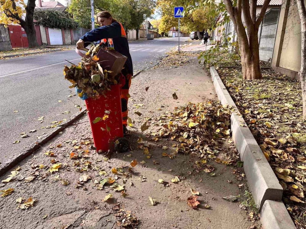 7762 image for slide