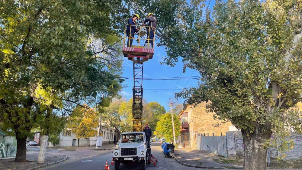 7793 image for slide