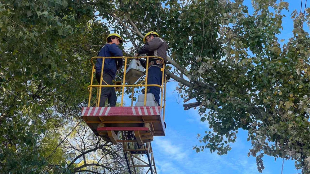 7796 image for slide