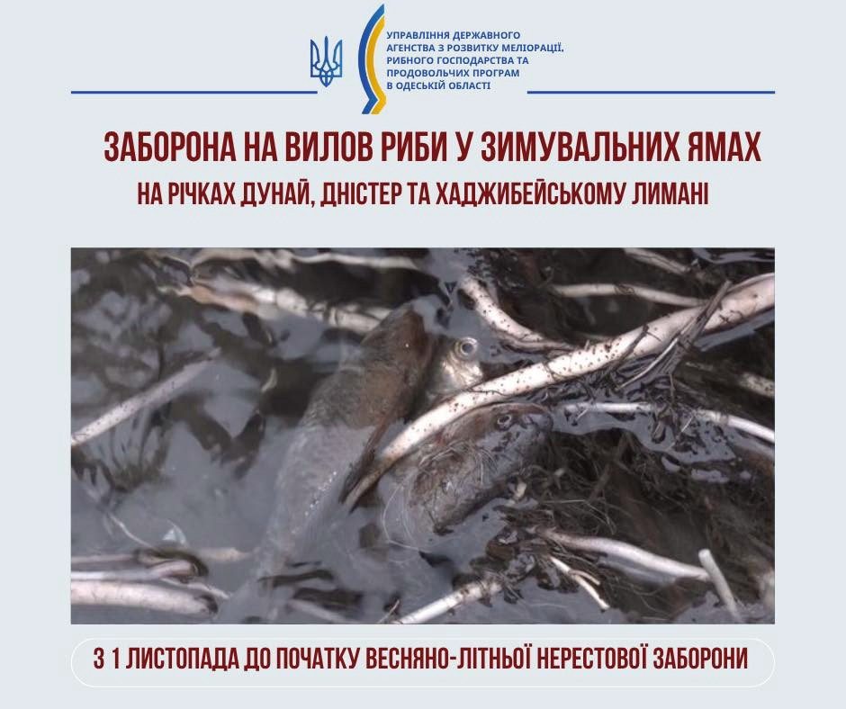 7833 image for slide