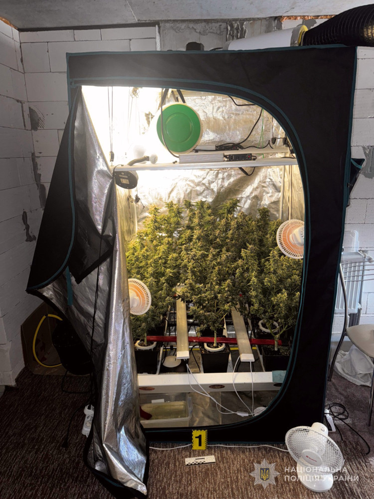 7864 image for slide