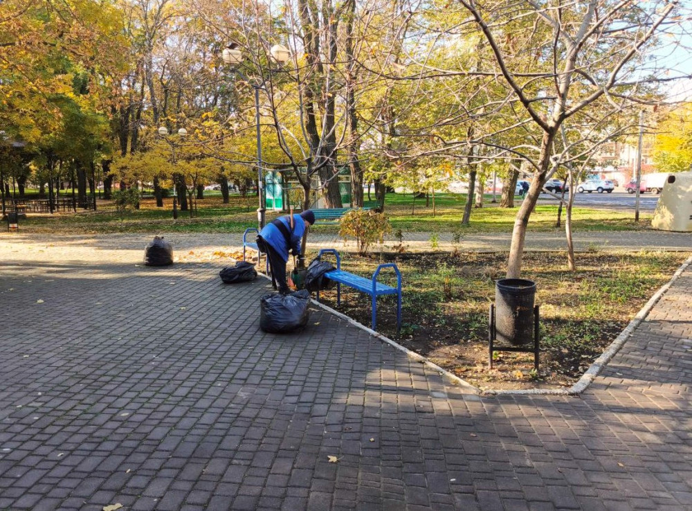 7965 image for slide