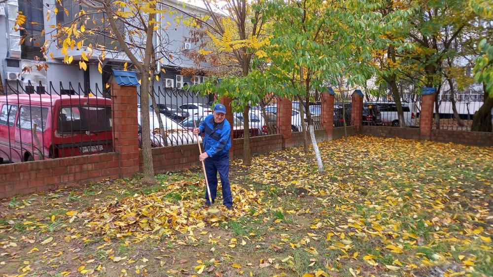 7966 image for slide