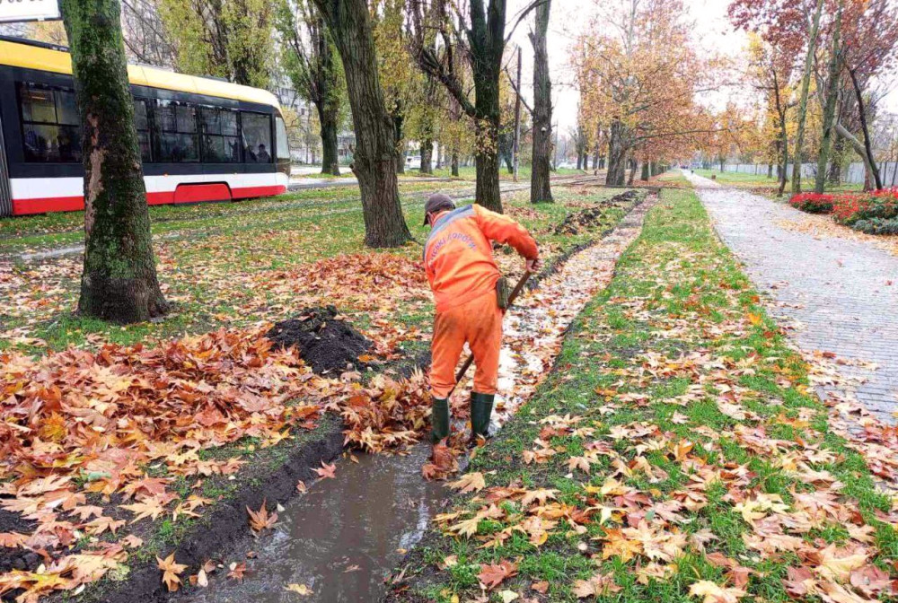 8110 image for slide