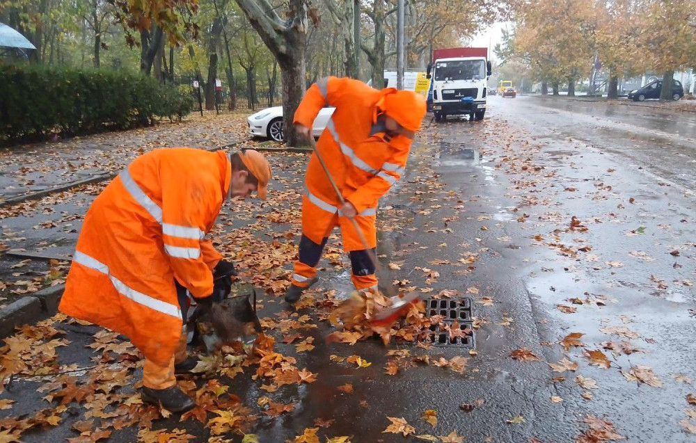 8113 image for slide