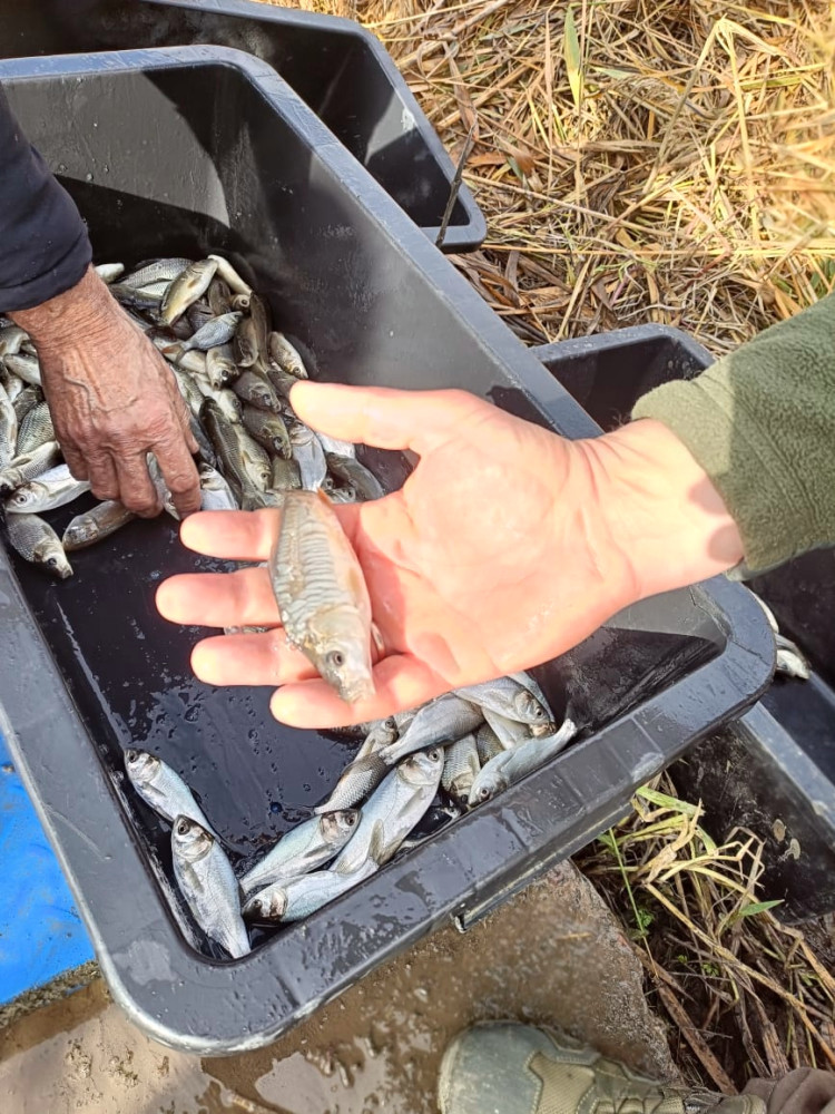 8148 image for slide