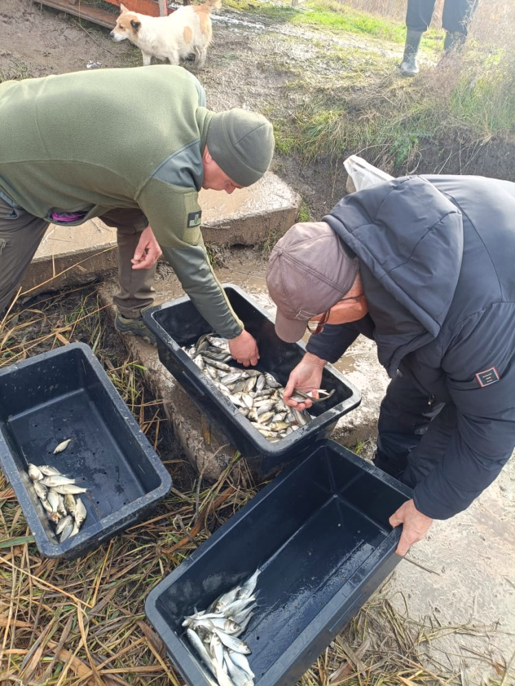 8149 image for slide