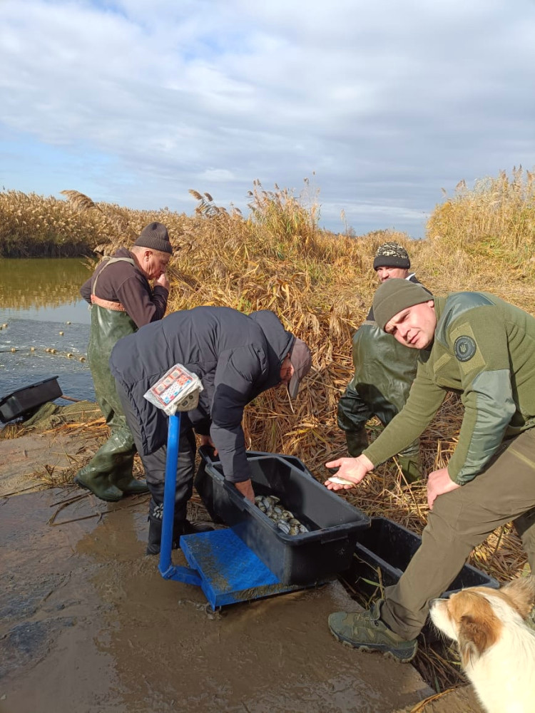 8150 image for slide