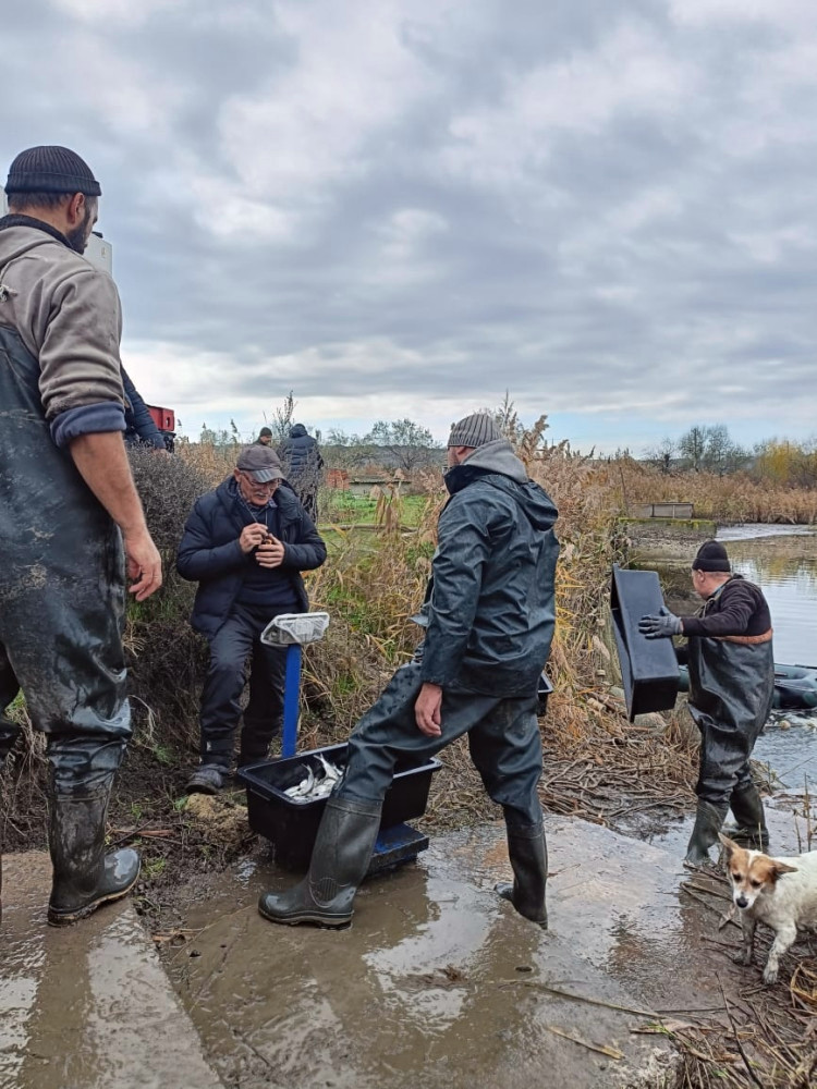 8151 image for slide