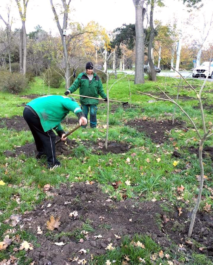 8213 image for slide