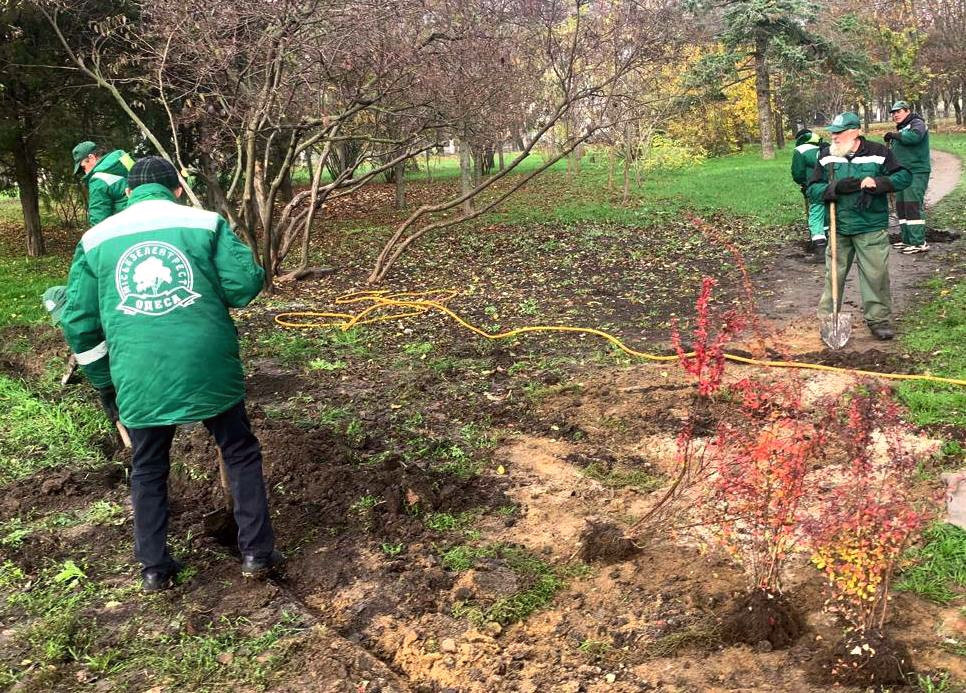 8214 image for slide