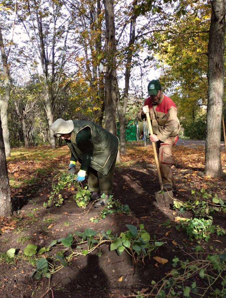 8215 image for slide