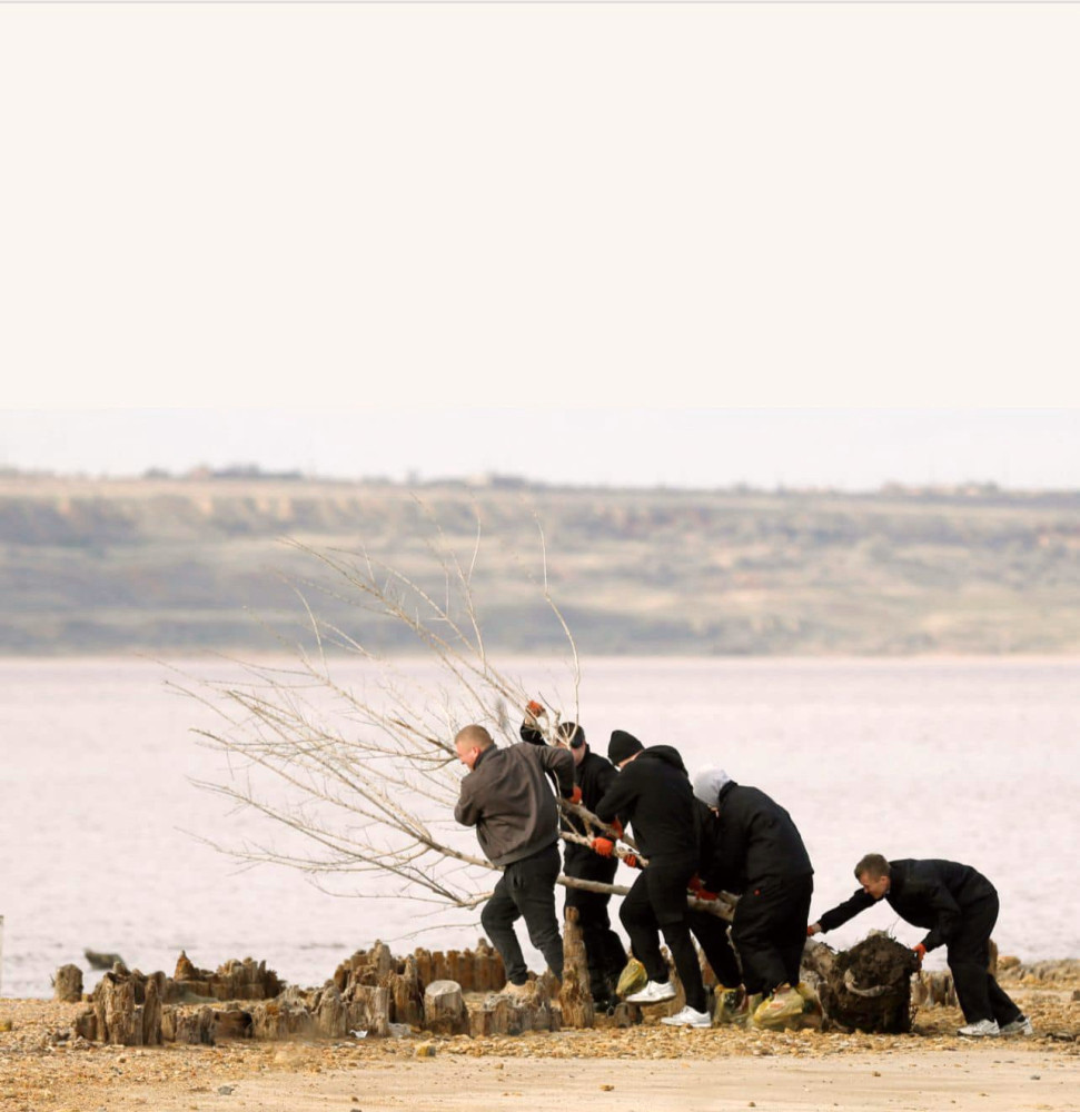 8261 image for slide