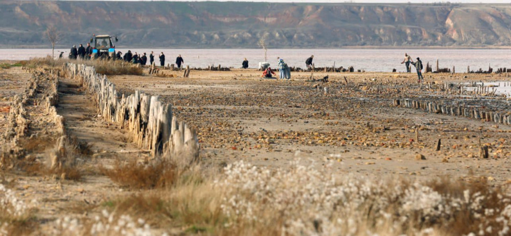 8262 image for slide