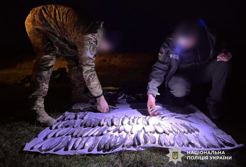 8276 image for slide