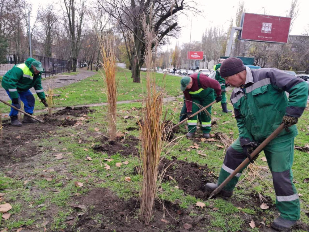 8280 image for slide