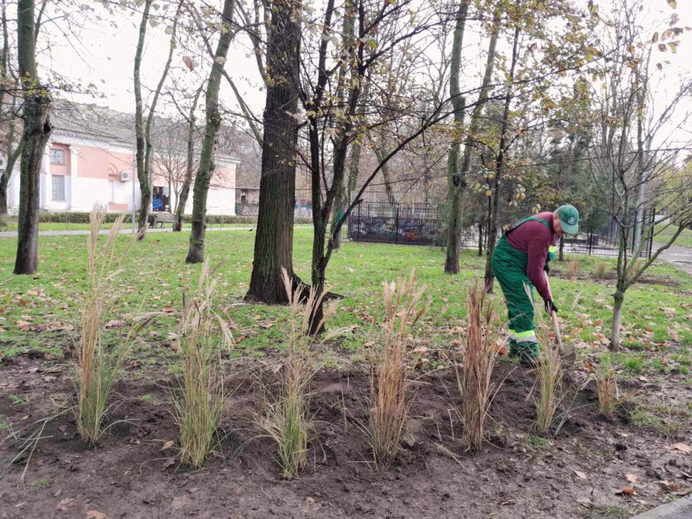 8281 image for slide