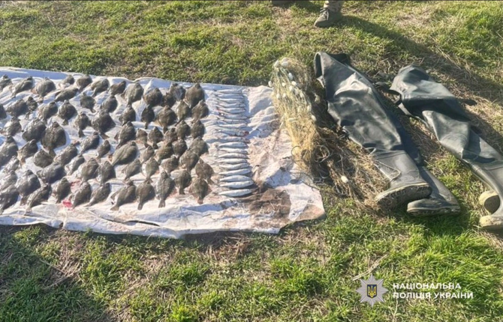 8406 image for slide